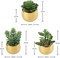 Set of 3 Mini Artificial Succulents in Gold Ceramic Pots – Realistic Faux Small Potted Plants for Modern Home Decor, Office Desk, Bathroom & Shelf Decoration